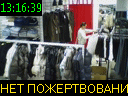 13:16:39