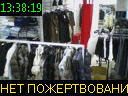 13:38:19