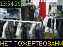 13:54:29