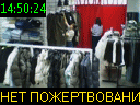 14:50:24