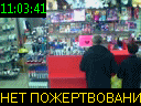 11:03:41