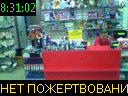 08:31:02