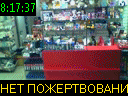 08:17:37