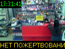 17:31:41