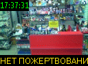 17:37:31