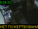 08:18:31
