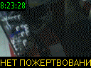 08:23:28