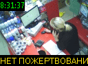 08:31:37