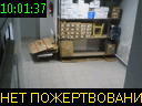 10:01:37