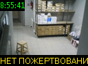 08:55:41
