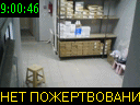 09:00:46