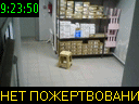 09:23:50
