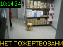 10:14:24