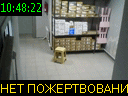 10:48:22