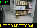 08:30:55