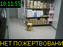 10:11:55