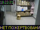 10:22:21