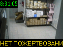 08:31:05