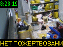 08:28:19