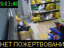 09:03:48