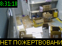 08:31:18
