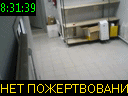 08:31:39