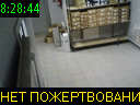 08:28:44