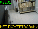 08:28:31