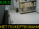 08:39:31