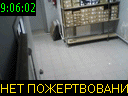 09:06:02