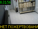 08:31:56