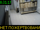 08:31:17