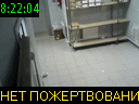 08:22:04