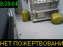 08:29:04