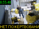 08:55:48