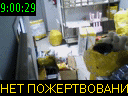 09:00:29