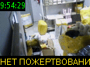 09:54:29