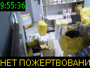 09:55:36