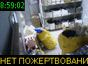 08:59:02