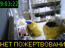 09:03:22