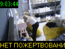 09:03:44