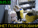 09:05:33