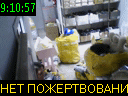 09:10:57