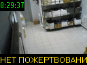 08:29:37