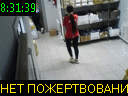 08:31:39