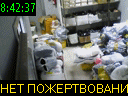 08:42:37