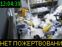 12:04:39