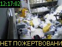 12:17:02
