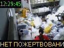 12:29:45