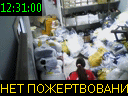 12:31:00